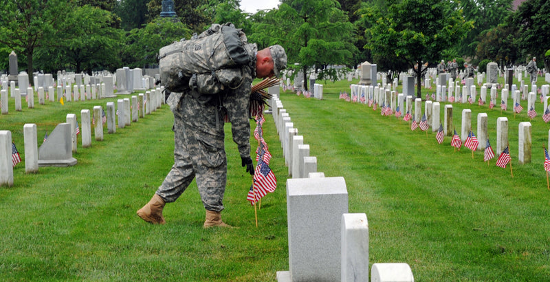 Happy Veteran's Day