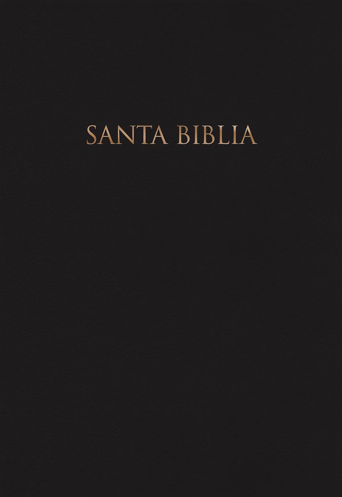 NVI Biblia para regalos y premios, negro tapa dura (NVI Santa Biblia-Holy Bible-Black-Spanish)