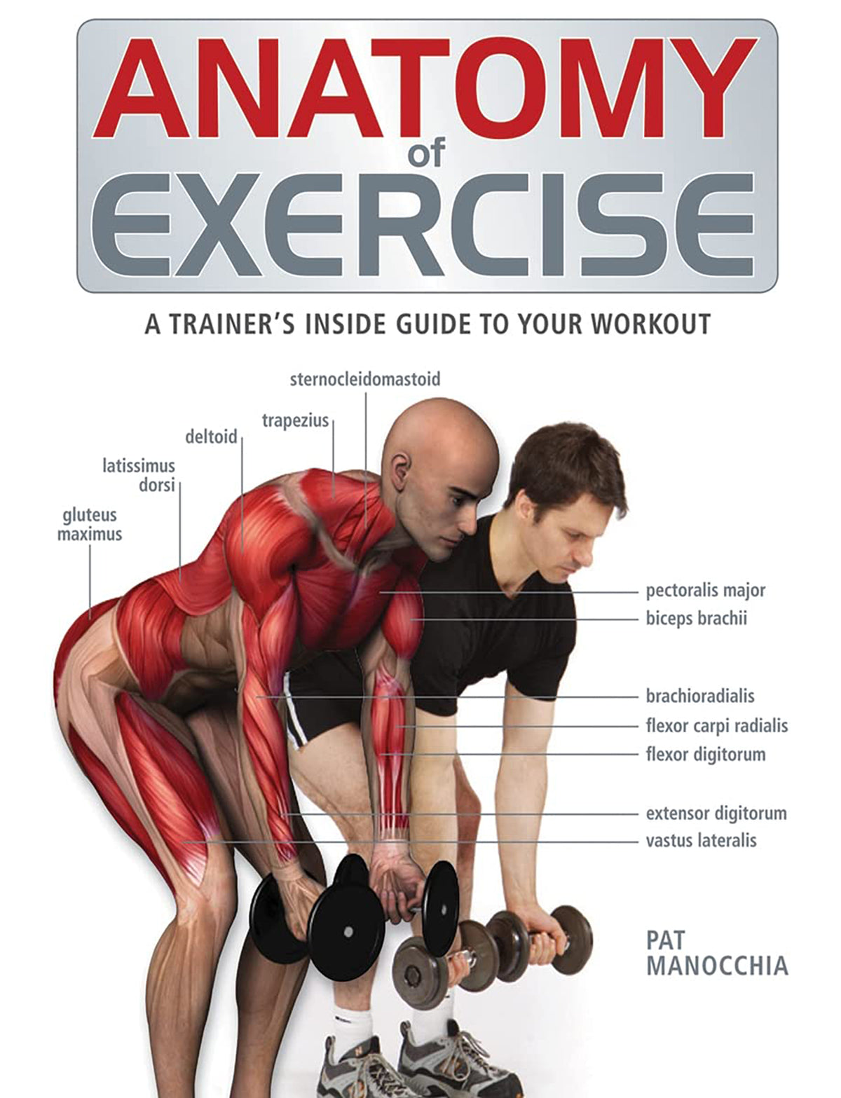 Anatomy of Exercise, A Trainer's Inside Guide to Your Workout