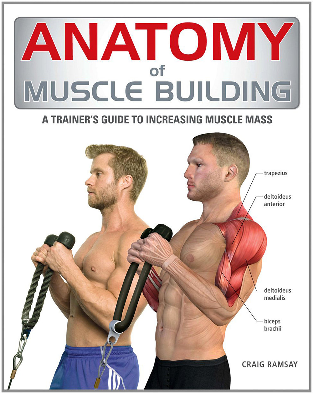 Anatomy of Muscle Building: A Trainer's Guide to Increasing Muscle Mass ...