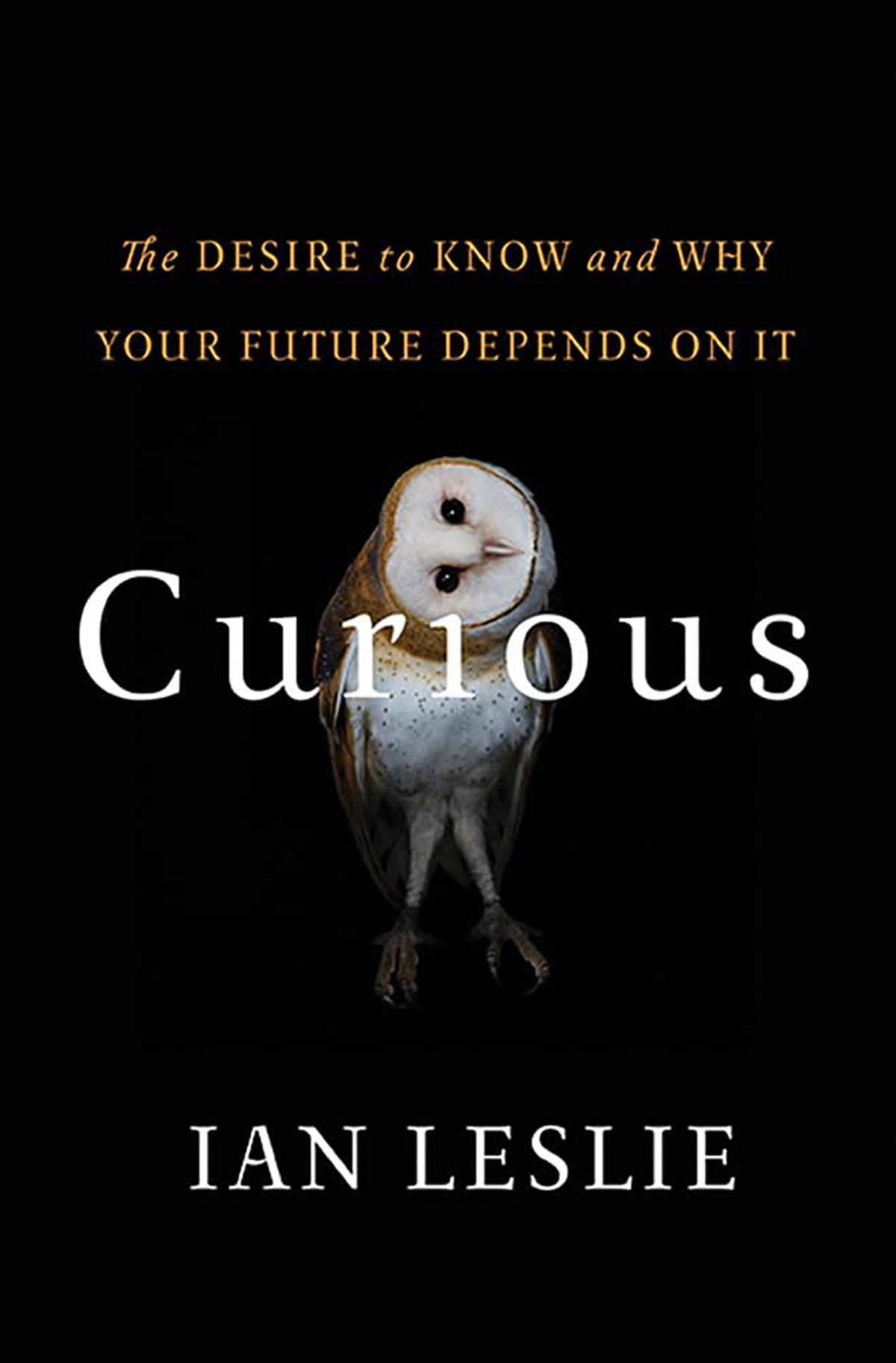 Curious: The Desire to Know and Why your Future Depends On It