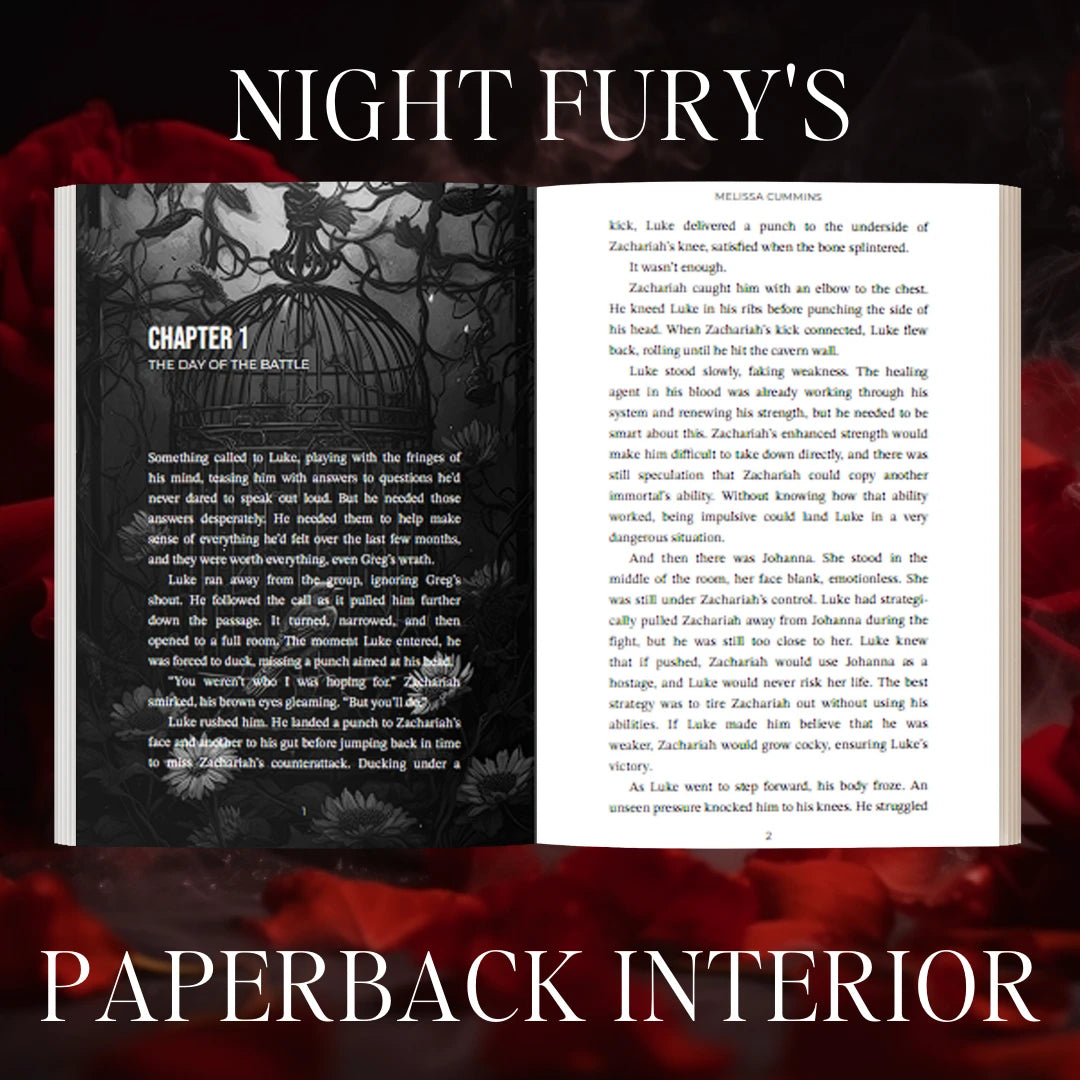 Night Fury Paperback